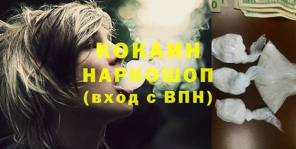 сатива Зеленокумск