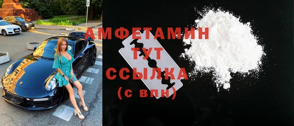 сатива Зеленокумск