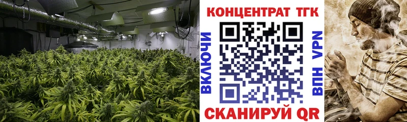 наркотики  Касли  ТГК THC oil 